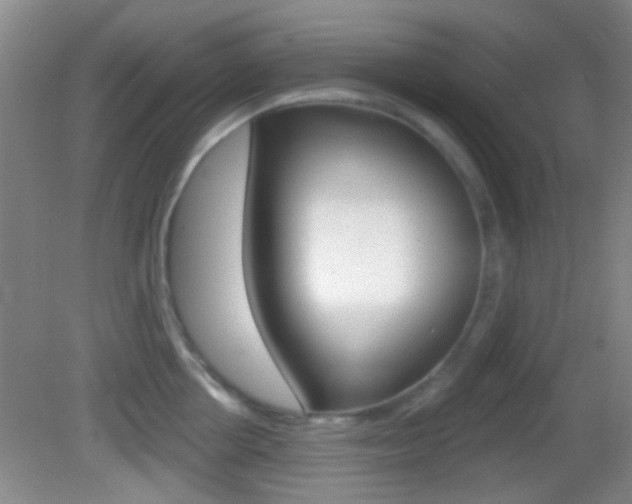 X0000082680858200701260927