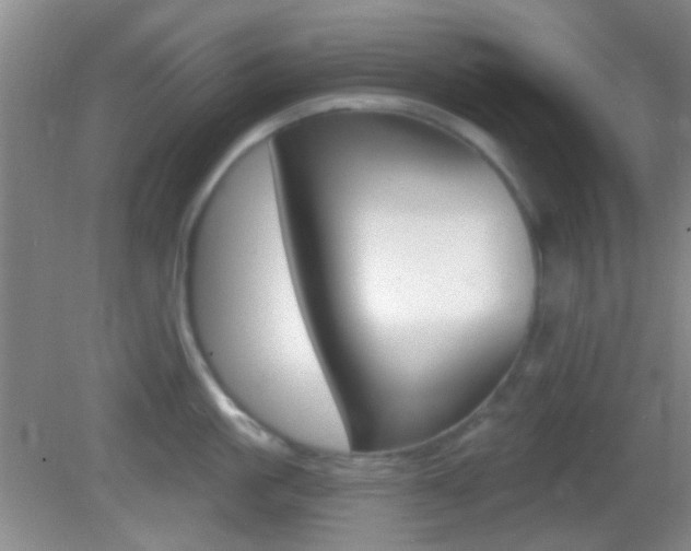 X0000082680861200701260927