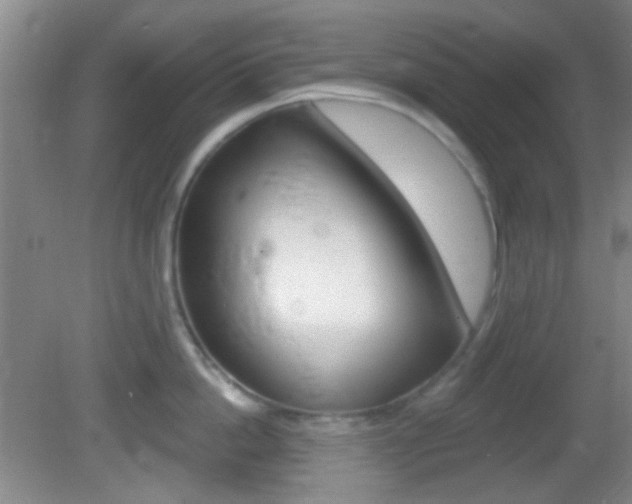 X0000082680862200701260927