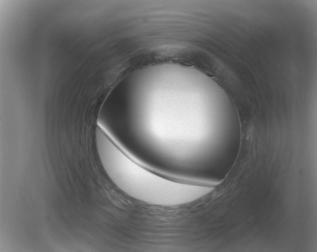X0000082680868200701260926