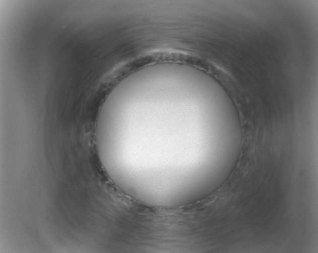 X0000082680870200701260926