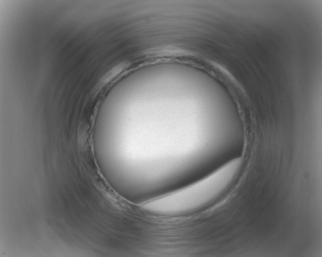 X0000082680873200701260926