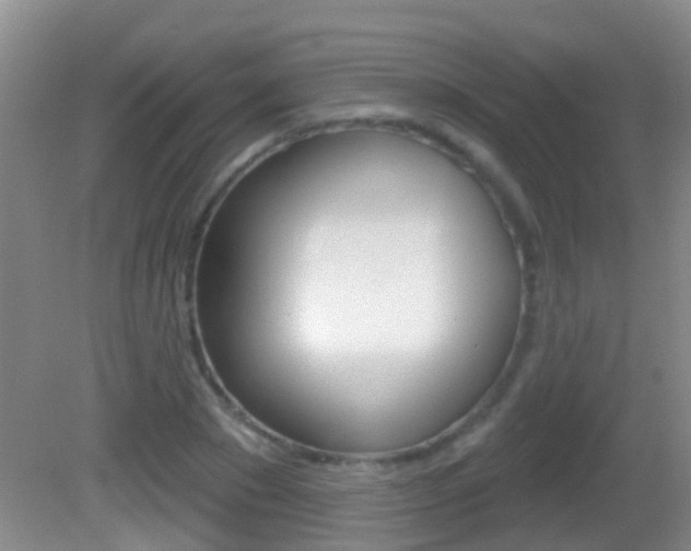 X0000082680881200701260926