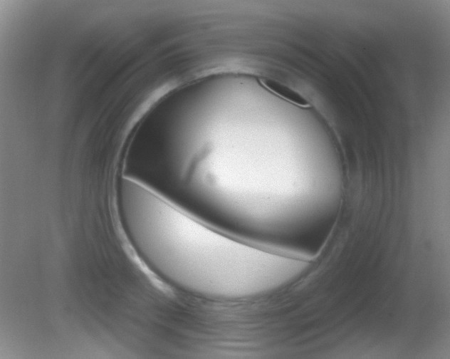 X0000082680898200701260925