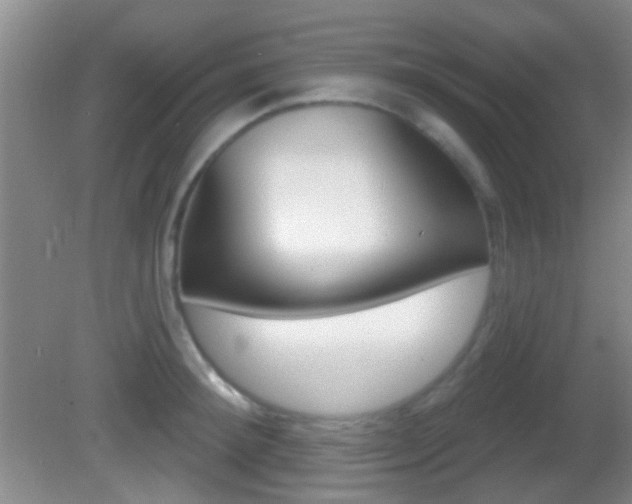 X0000082680900200701260925
