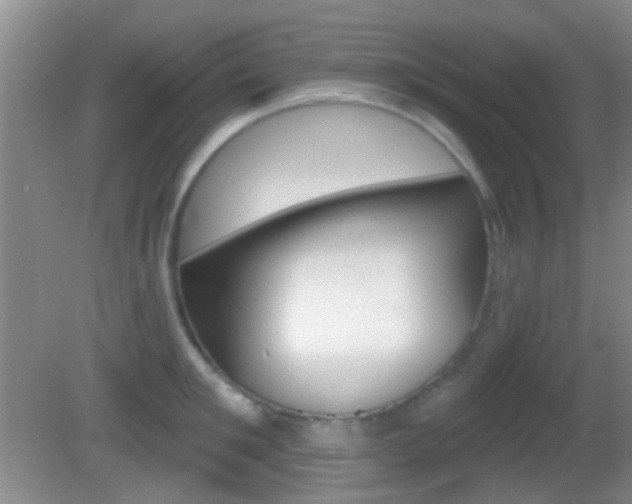 X0000082680901200701260925