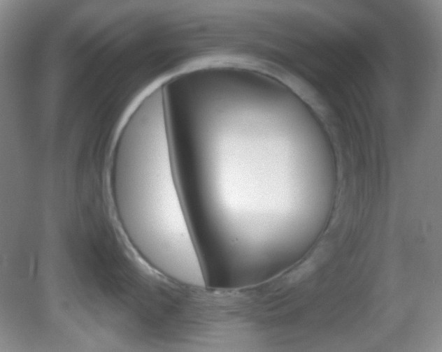 X0000082680912200701260925