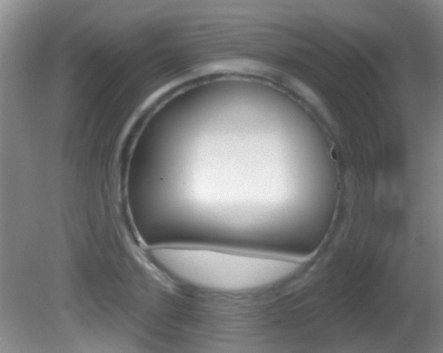 X0000082680931200701260925