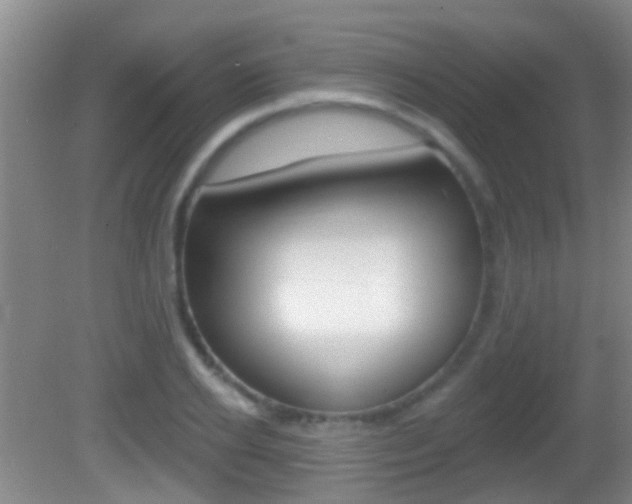 X0000082680934200701260925
