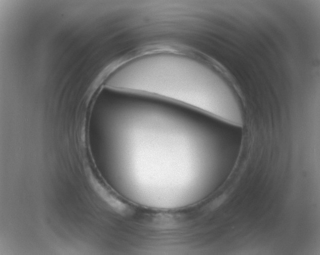 X0000082680938200701260925