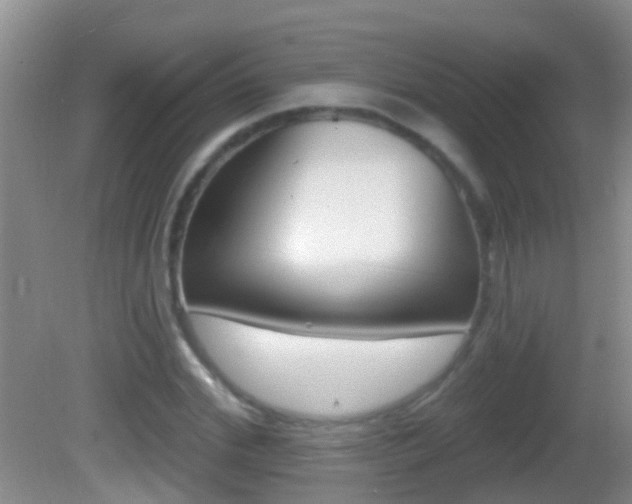 X0000082680972200701260924