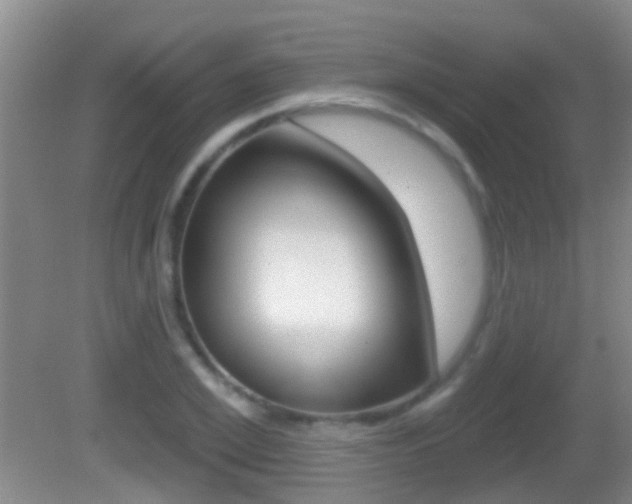 X0000082680981200701260924