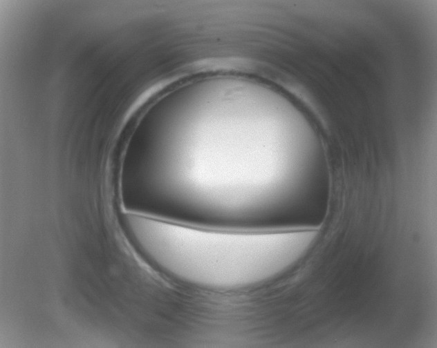 X0000082680983200701260924