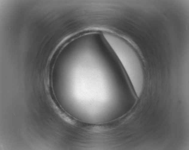X0000082680984200701260924