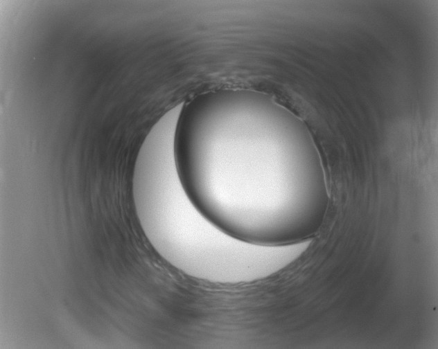X0000082681010200701260923