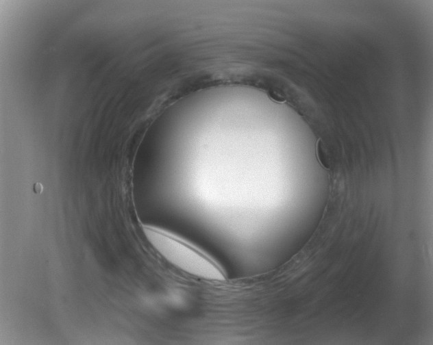 X0000082681012200701260923