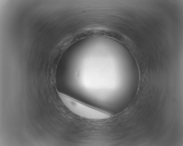 X0000082681014200701260923