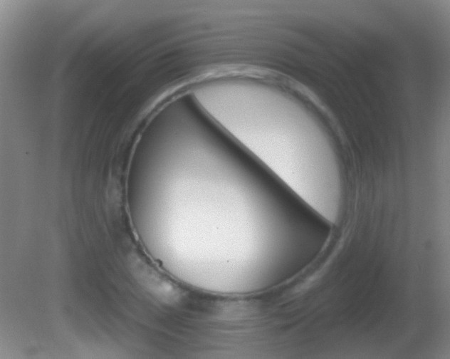 X0000082681025200701260923