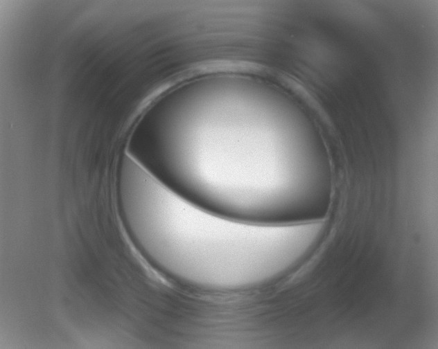 X0000082681033200701260923