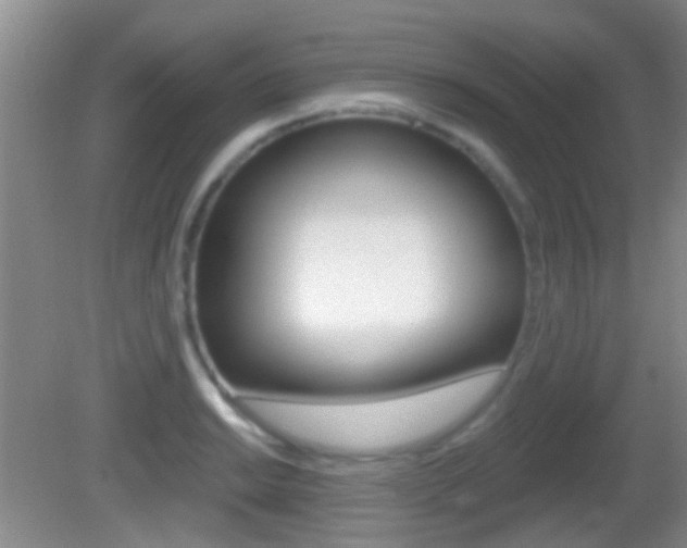 X0000082681038200701260923