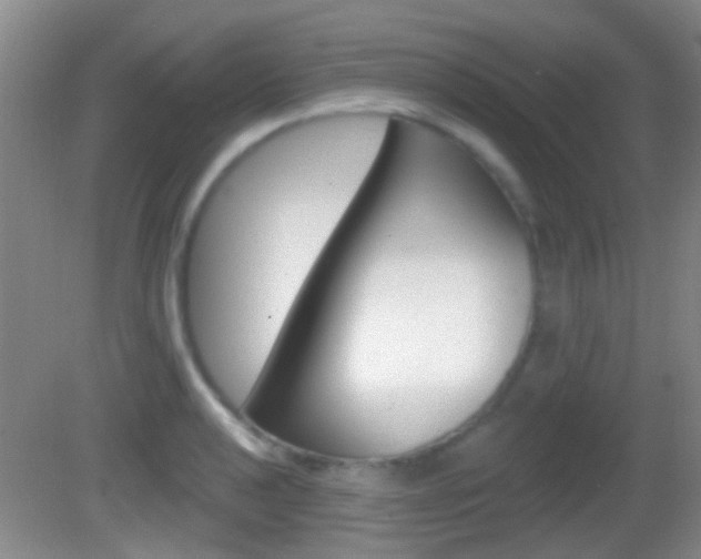 X0000082681040200701260923