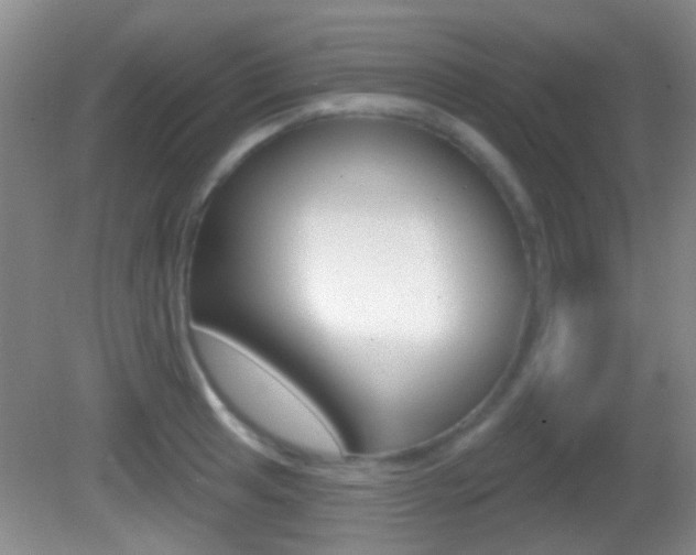 X0000082681041200701260923