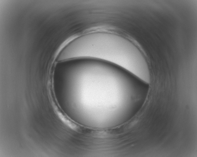 X0000082681042200701260923