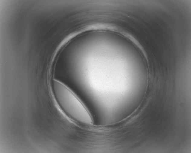X0000082681045200701260923