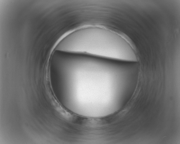 X0000082681052200701260923
