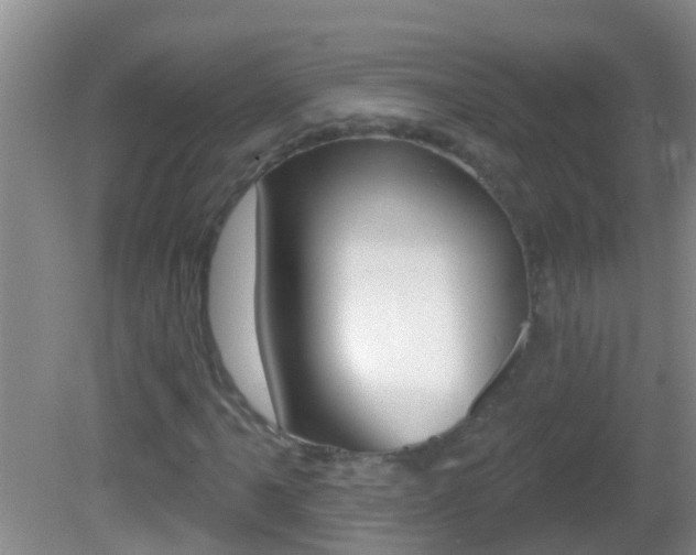 X0000082681061200701260923