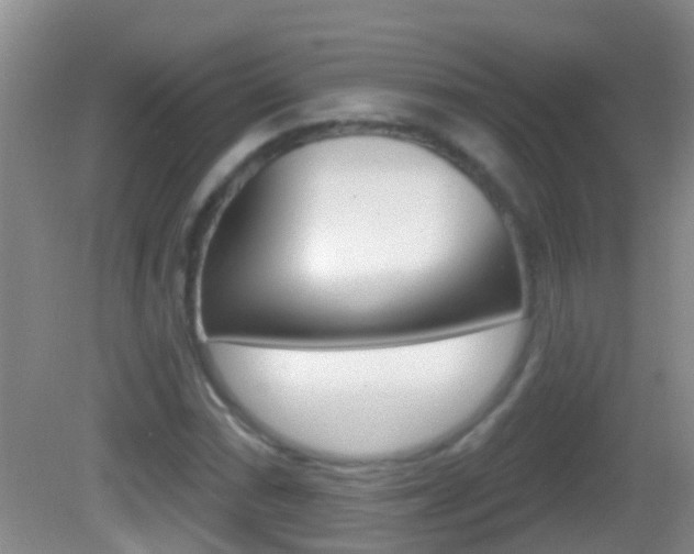 X0000082681066200701260923
