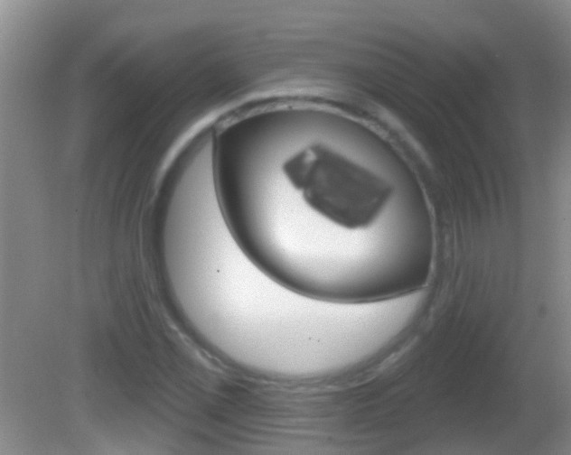 X0000082681069200701260923