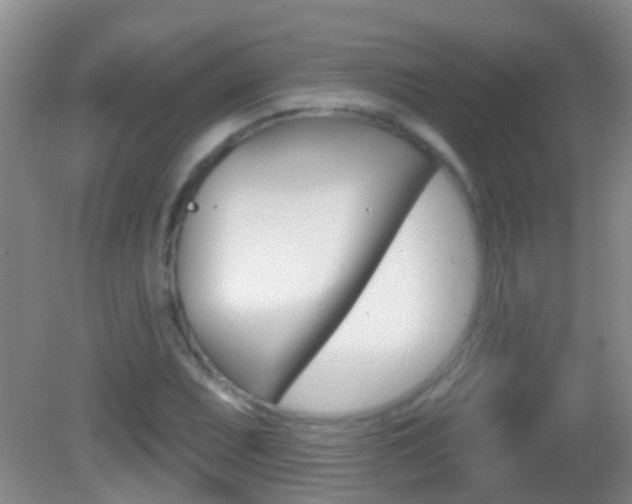 X0000082681071200701260923