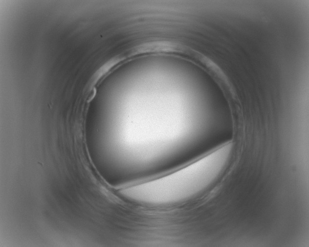 X0000082681081200701260922