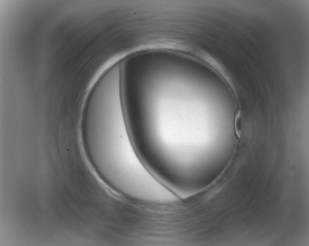 X0000082681093200701260922