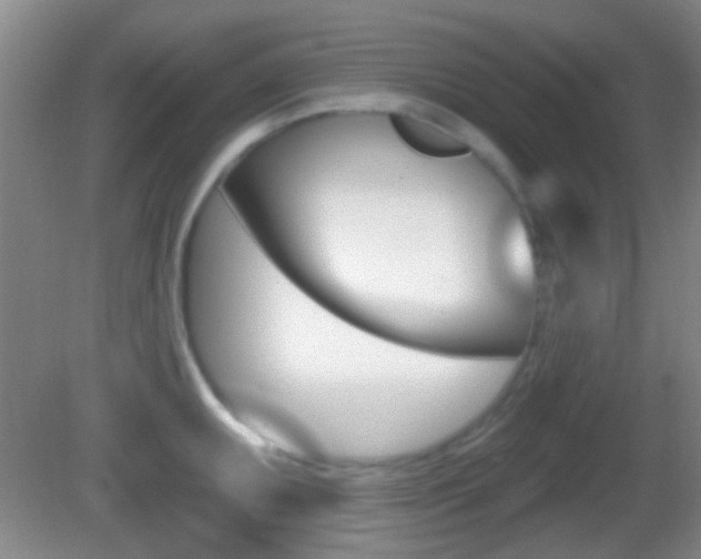 X0000082681095200701260922