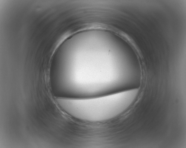 X0000082681097200701260922