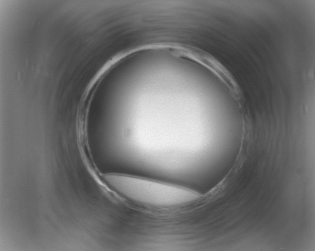 X0000082681101200701260922