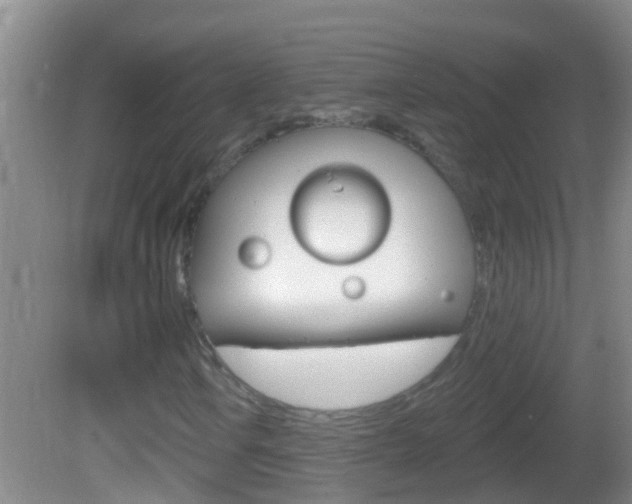 X0000082681106200701260921