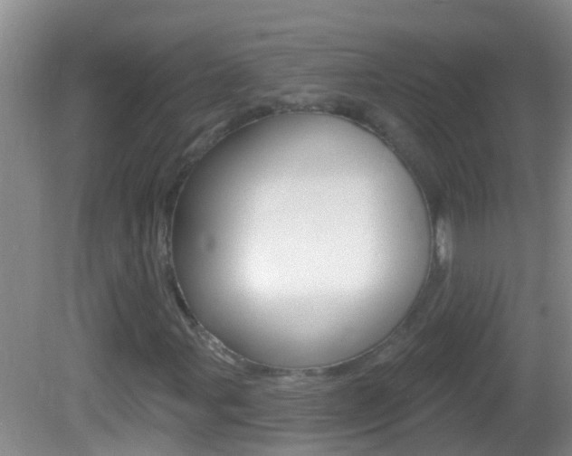 X0000082681107200701260921