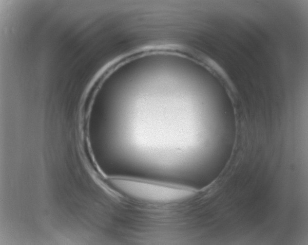 X0000082681124200701260921