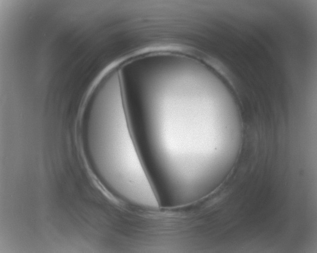 X0000082681127200701260922