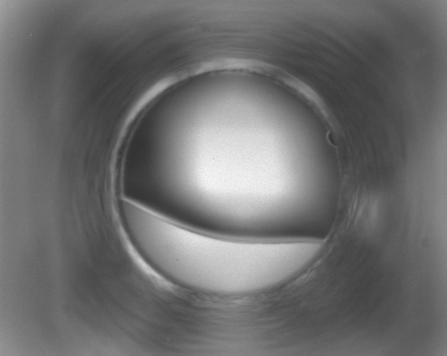 X0000082681135200701260922