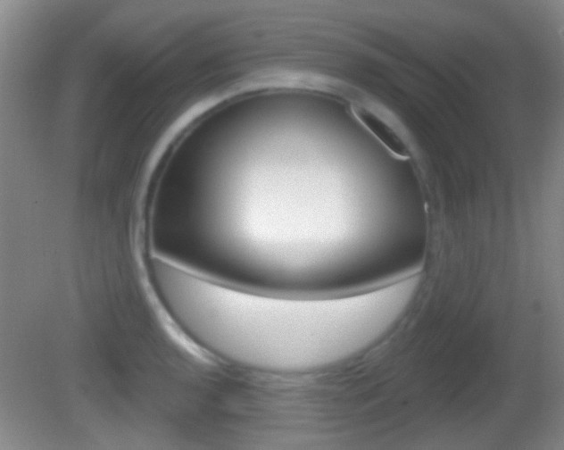 X0000082681136200701260922