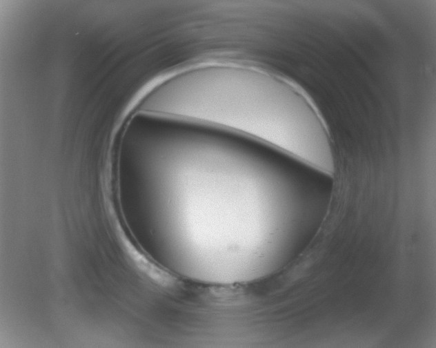 X0000082681147200701260922