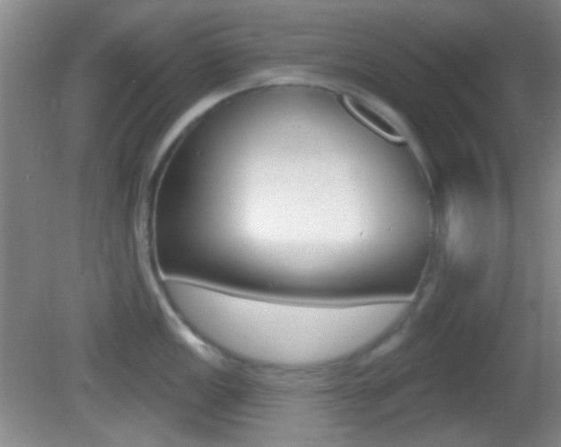 X0000082681149200701260922