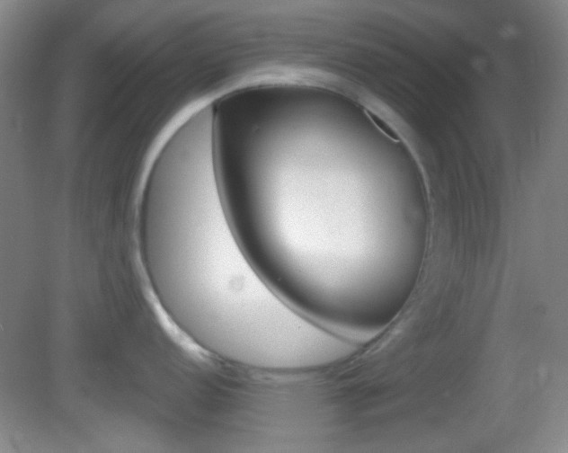 X0000082681152200701260922