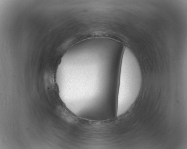 X0000082681155200701260921