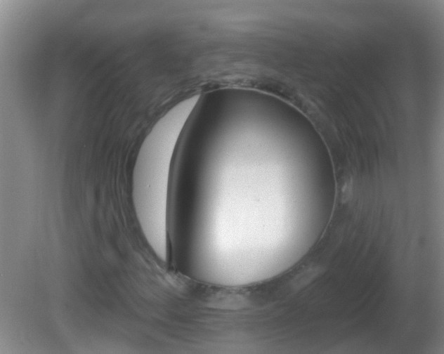 X0000082681156200701260921