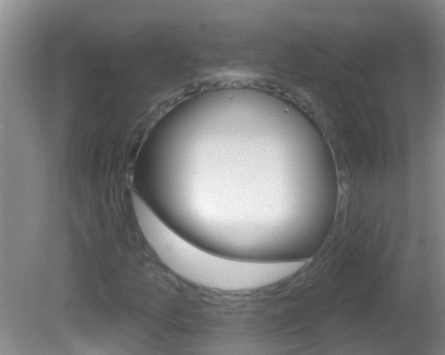 X0000082681157200701260921